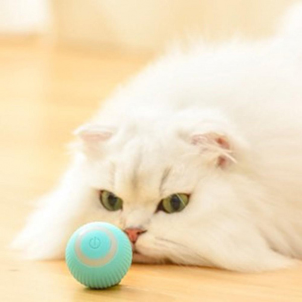 Интерактивная игрушка для кота